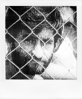 http://www.bertrandcarriere.com/files/gimgs/th-38_26polaroids of war.jpg